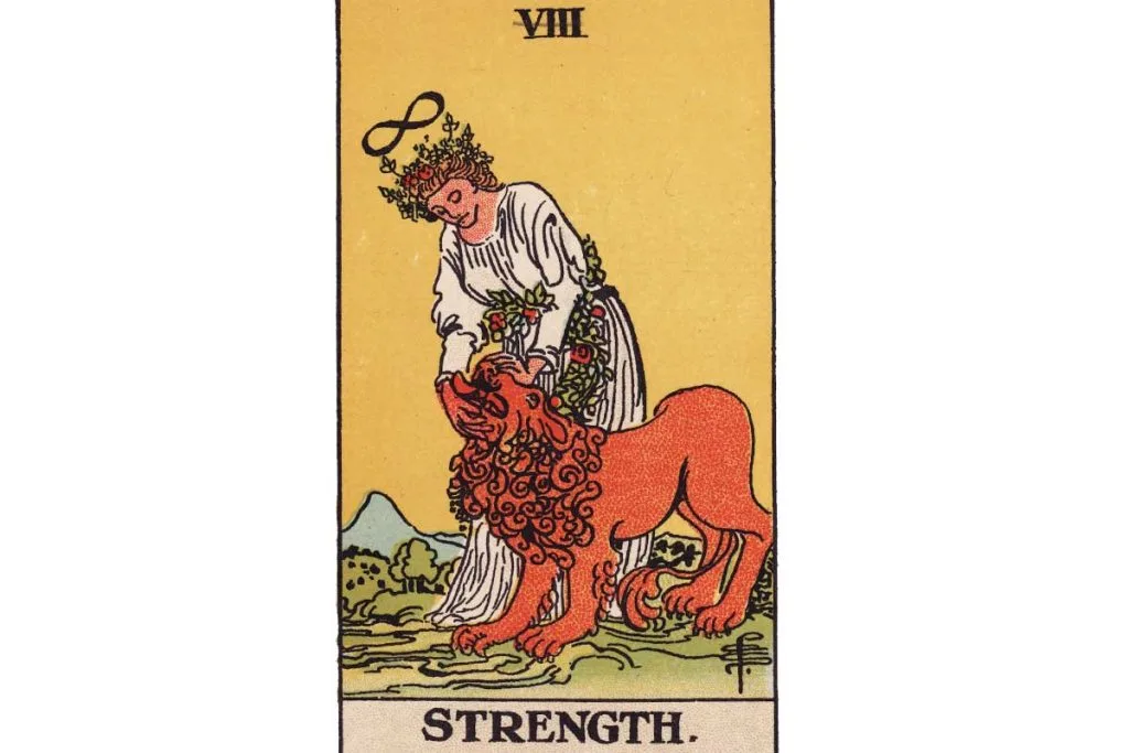 8. Meaning of The Strength Tarot Card, Major Arcana